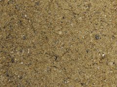 sable quartz beige