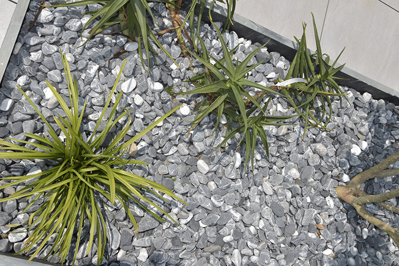 souper rencontre célibataire québec