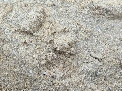 sable blanc déco
